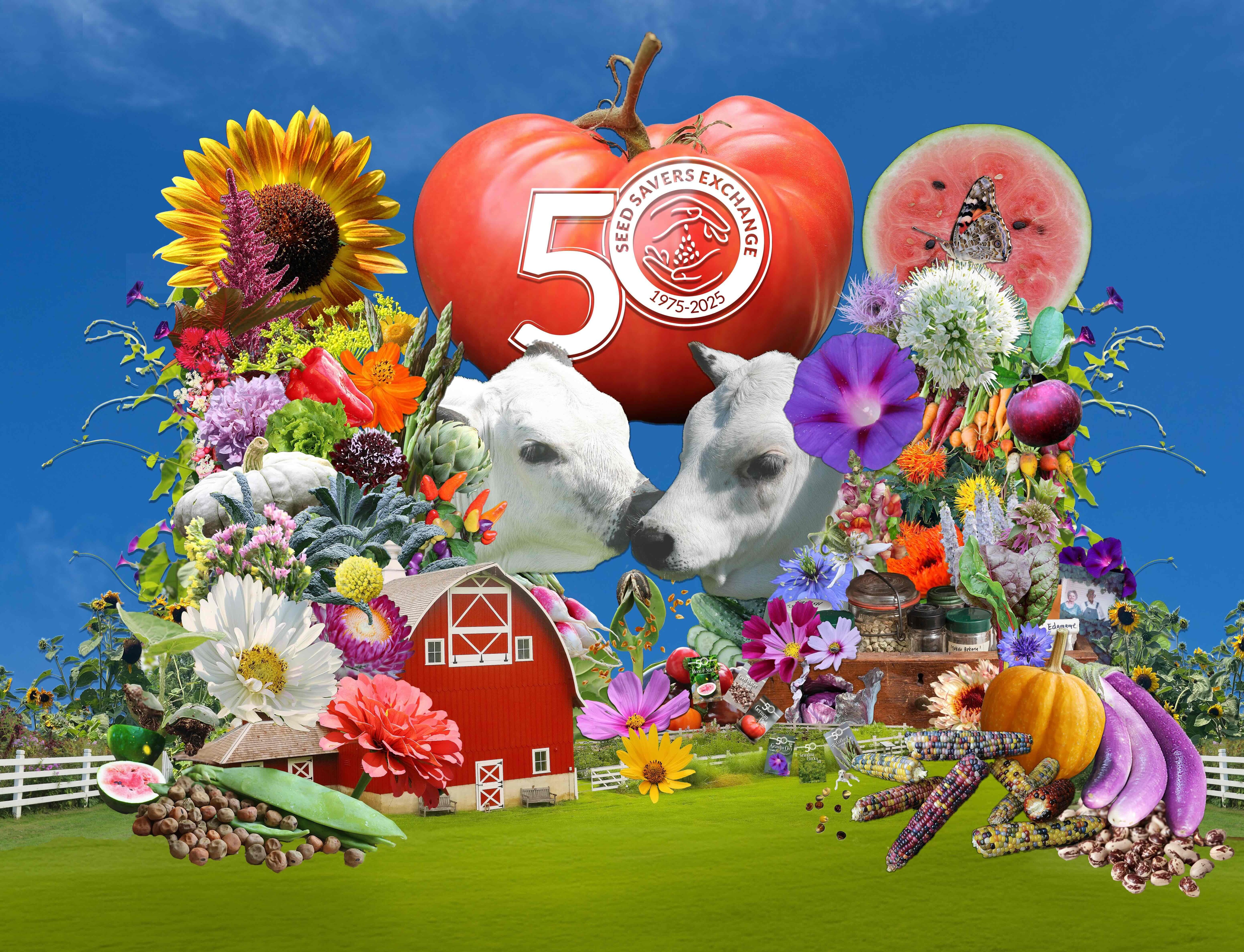 SSE 50th anniversary logo