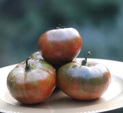 Tomato, Black from Tula