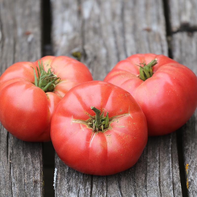 Oma's Pink Tomato