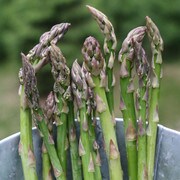 Culver Williams Asparagus