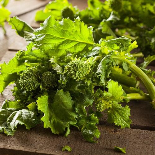 Spring Rapini Broccoli Raab