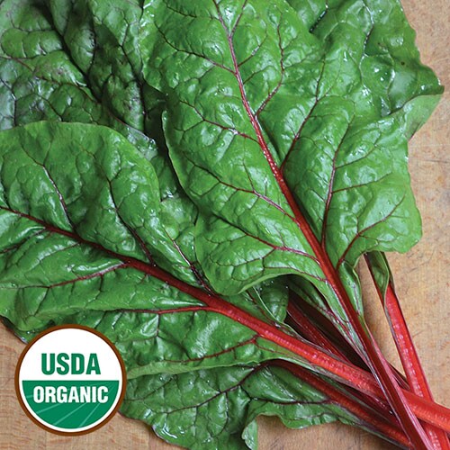 Swiss Chard, Rhubarb Red