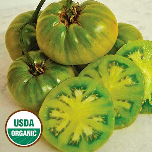 Tasty Evergreen Tomato