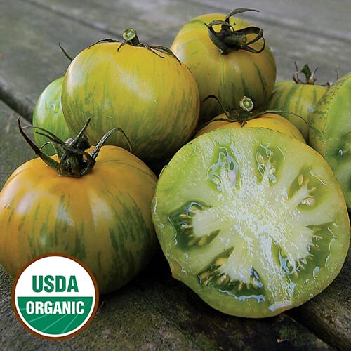 Green Zebra Tomato