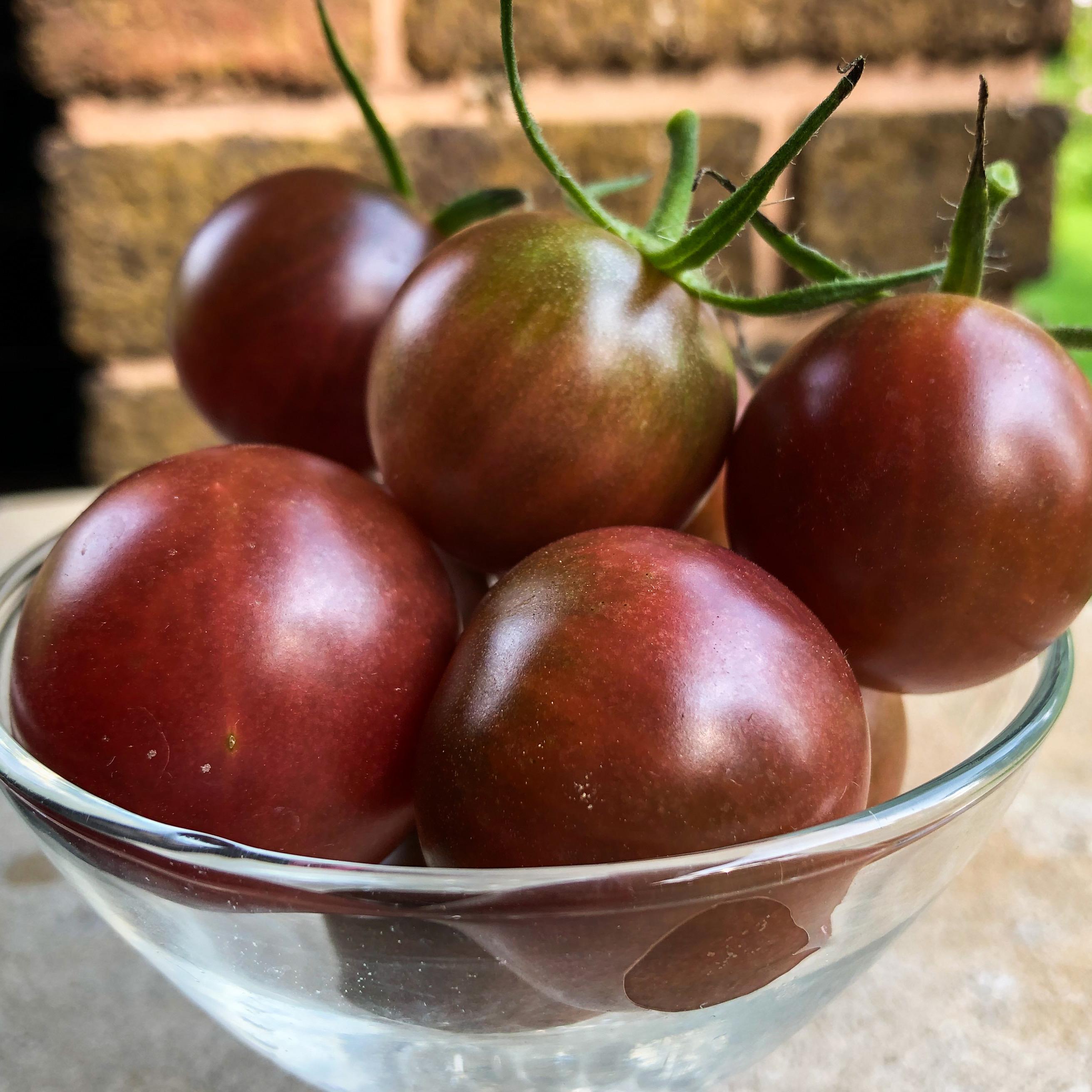 Chocolate Cherry Tomato