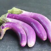 Eggplant, Pingtung Long