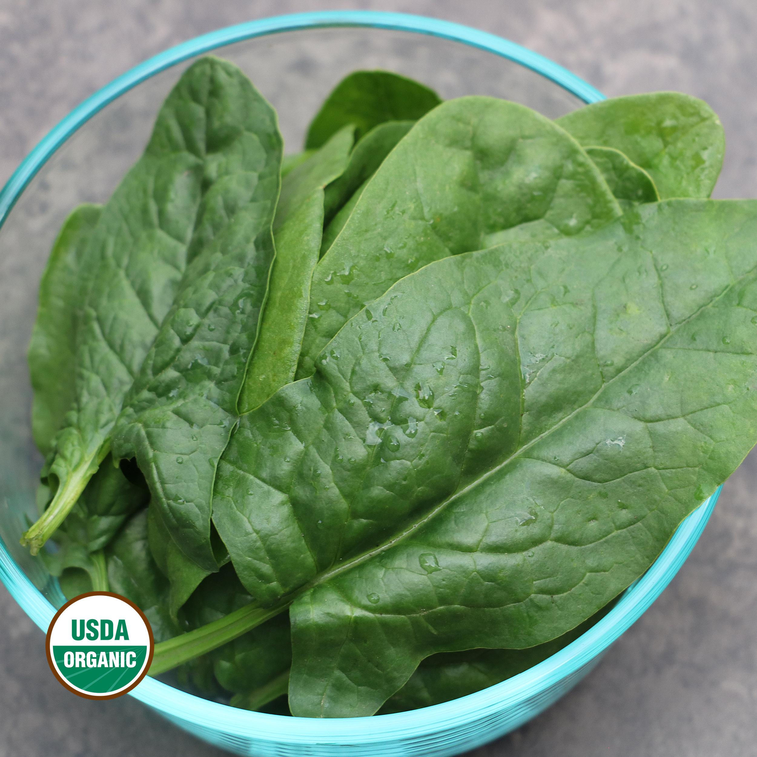 Bloomsdale Spinach