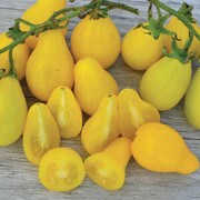 whole & halved pear shaped tomatoes