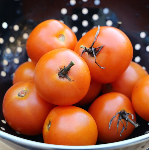 Tomato, Jaune Flamme