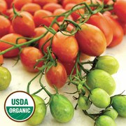 Cherry Roma Tomato