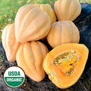 Pile of acorn squash, one halved