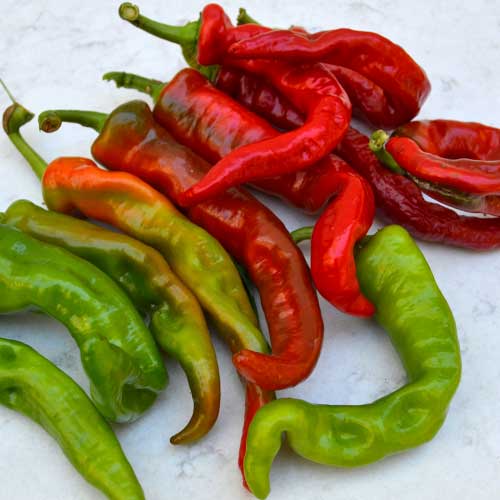 Pepper, Maules Red Hot