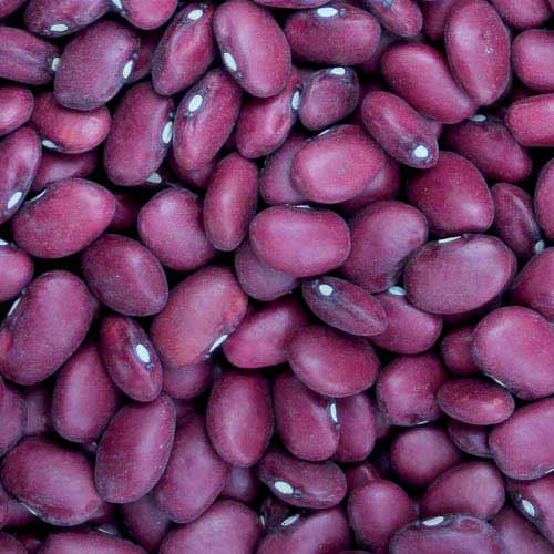 Hidatsa Red Bean