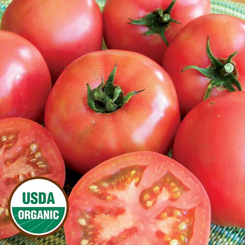 Tomato, Trucker's Favorite Pink