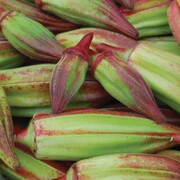 Red and green okra pods
