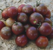 Tomato, Black Cherry