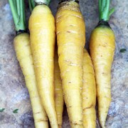 A bunch of yellow carrots.