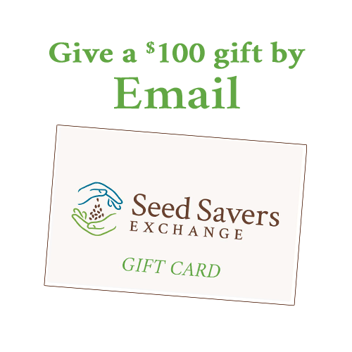 Online e-Card $100