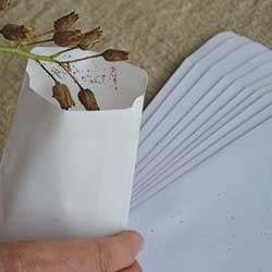 Kraft Self Sealing Seed Packets