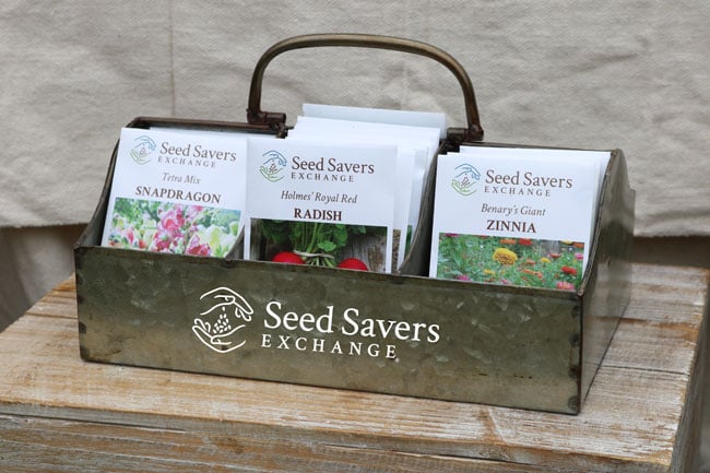 Classic Vintage Style Seed Caddy, 6