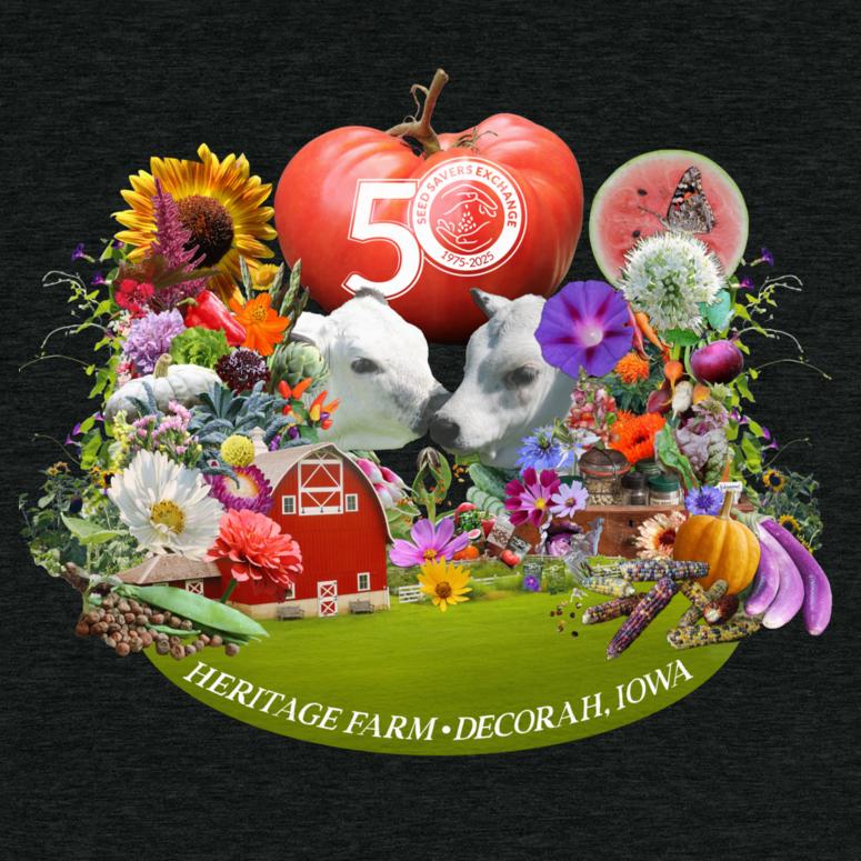 50th anniversary t-shirt